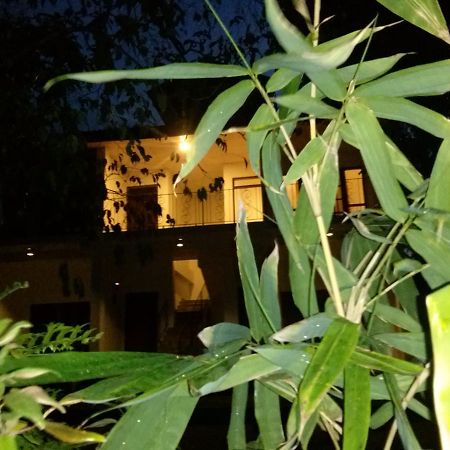 Green Earth Resort And Restaurant Дамбулла Экстерьер фото