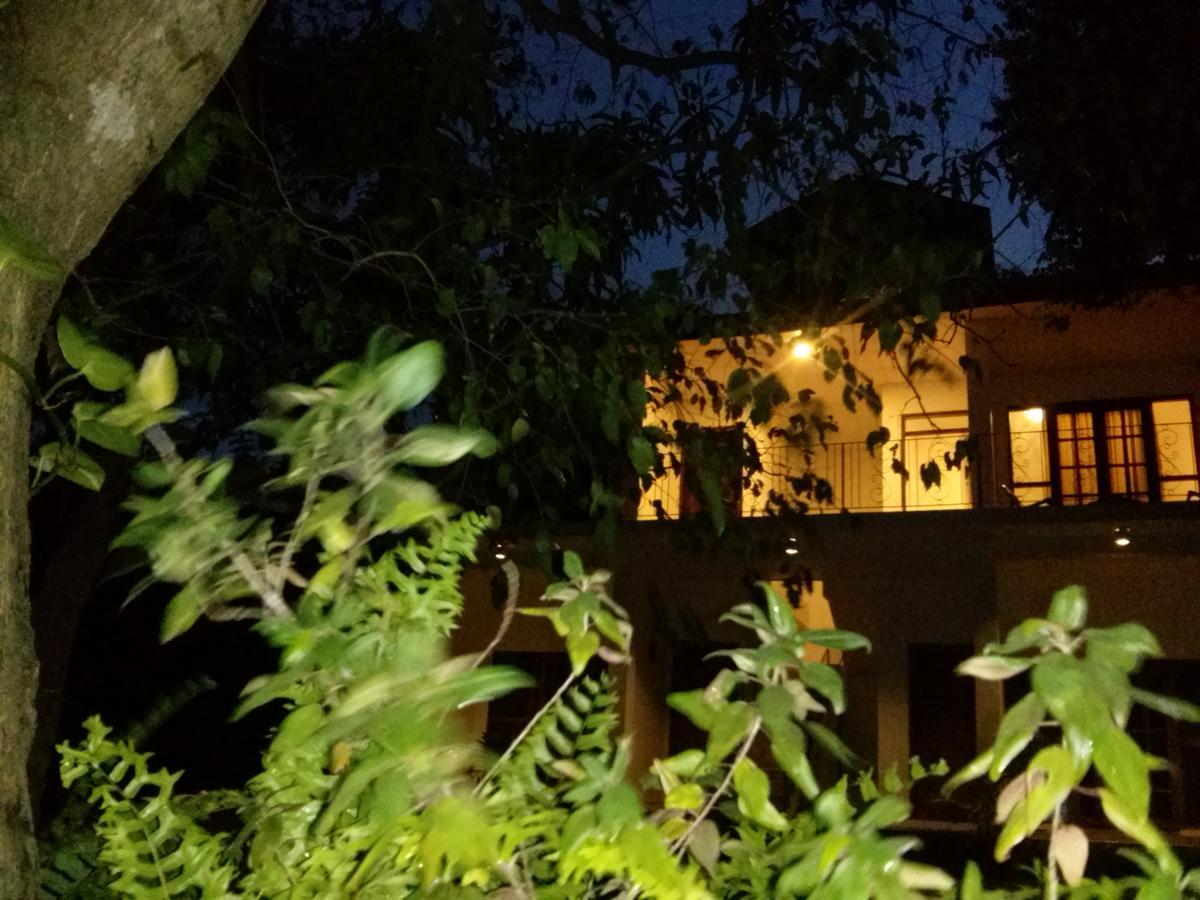 Green Earth Resort And Restaurant Дамбулла Экстерьер фото