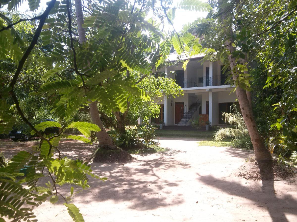 Green Earth Resort And Restaurant Дамбулла Экстерьер фото